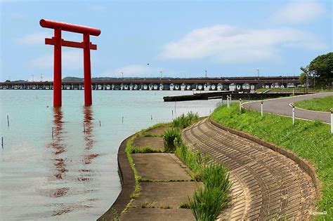 鹿島 ヒンサロ|茨城のパワースポット「鹿島神宮」の見どころを紹介！境内の茶。